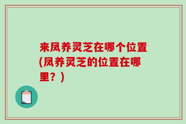 来凤养灵芝在哪个位置(凤养灵芝的位置在哪里？)