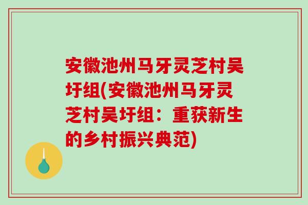 安徽池州马牙灵芝村吴圩组(安徽池州马牙灵芝村吴圩组：重获新生的乡村振兴典范)