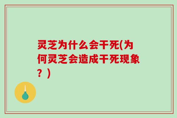灵芝为什么会干死(为何灵芝会造成干死现象?) 灵芝为什么会干死(为何灵芝会造成干死现象?)