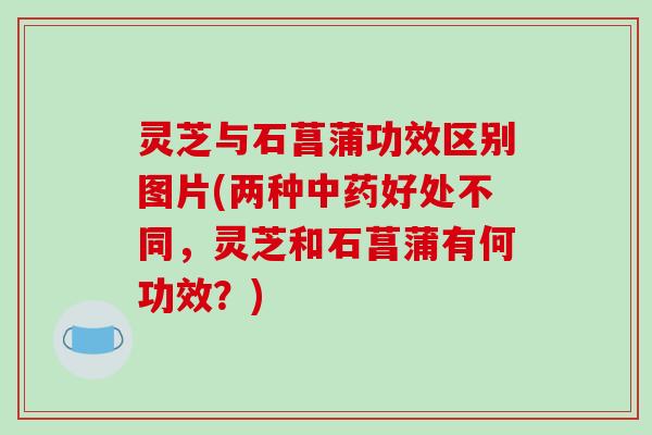 灵芝与石菖蒲功效区别图片(两种好处不同,灵芝和石菖蒲有何功效?) 灵芝与石菖蒲功效区别图片(两种好处不同,灵芝和石菖蒲有何功效?)