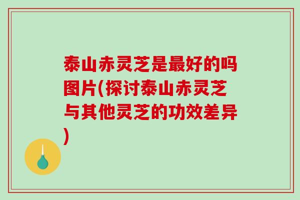 泰山赤灵芝是最好的吗图片(探讨泰山赤灵芝与其他灵芝的功效差异)