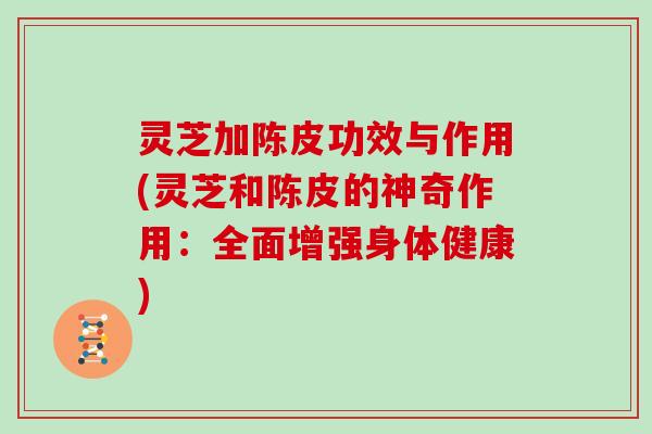 灵芝加陈皮功效与作用(灵芝和陈皮的神奇作用:全面增强身体健康) 灵芝加陈皮功效与作用(灵芝和陈皮的神奇作用:全面增强身体健康)