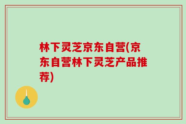 林下灵芝京东自营(京东自营林下灵芝产品推荐)
