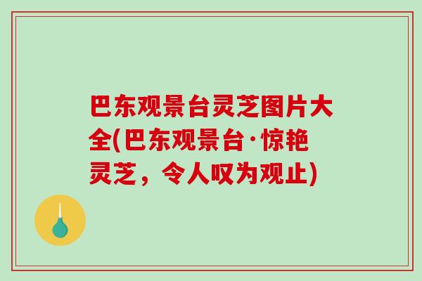 巴东观景台灵芝图片大全(巴东观景台·惊艳灵芝,令人叹为观止) 巴东观景台灵芝图片大全(巴东观景台·惊艳灵芝,令人叹为观止)
