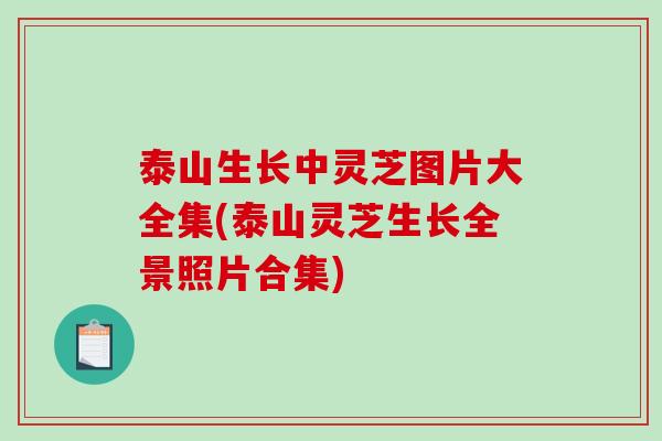 泰山生长中灵芝图片大全集(泰山灵芝生长全景照片合集)