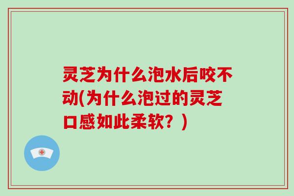 灵芝为什么泡水后咬不动(为什么泡过的灵芝口感如此柔软？)