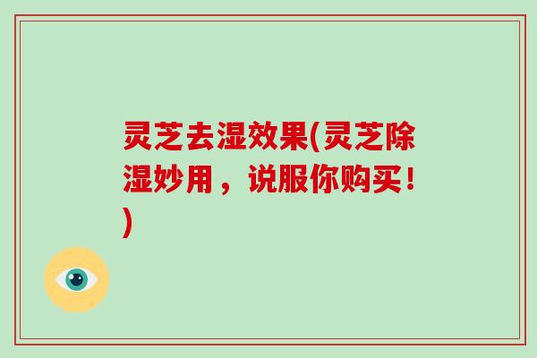 灵芝去湿效果(灵芝除湿妙用,说服你购买!) 灵芝去湿效果(灵芝除湿妙用,说服你购买!)
