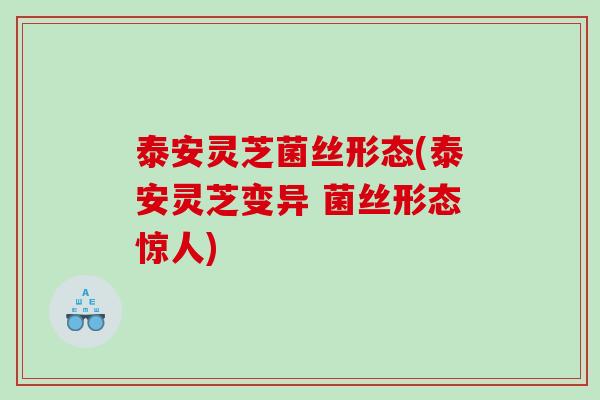 泰安灵芝菌丝形态(泰安灵芝变异 菌丝形态惊人) 泰安灵芝菌丝形态(泰安灵芝变异 菌丝形态惊人)