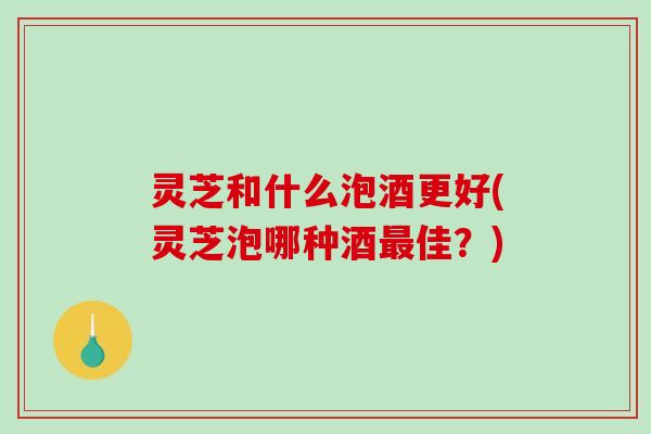 灵芝和什么泡酒更好(灵芝泡哪种酒最佳？)