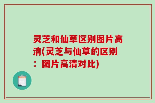 灵芝和仙草区别图片高清(灵芝与仙草的区别:图片高清对比) 灵芝和仙草区别图片高清(灵芝与仙草的区别:图片高清对比)