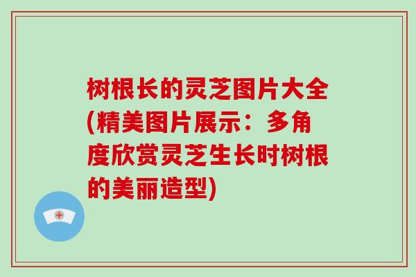 树根长的灵芝图片大全(精美图片展示：多角度欣赏灵芝生长时树根的美丽造型)