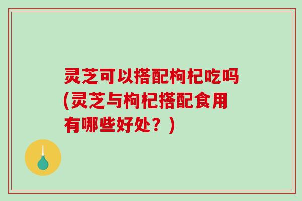 灵芝可以搭配枸杞吃吗(灵芝与枸杞搭配食用有哪些好处?) 灵芝可以搭配枸杞吃吗(灵芝与枸杞搭配食用有哪些好处?)