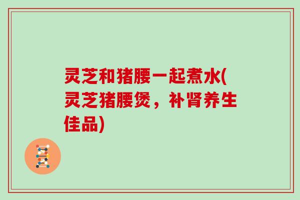 灵芝和猪腰一起煮水(灵芝猪腰煲，补养生佳品)