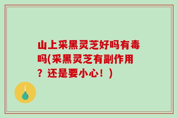 山上采黑灵芝好吗有毒吗(采黑灵芝有副作用？还是要小心！)