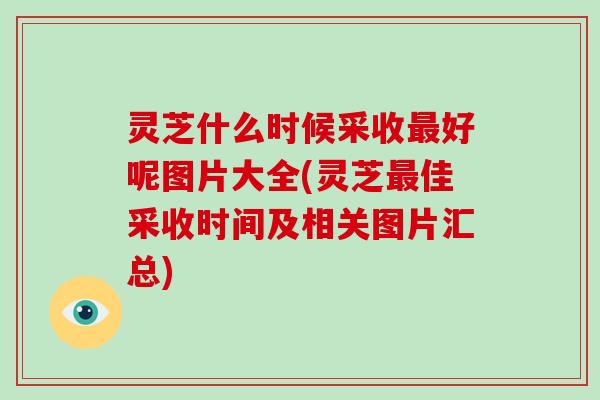 灵芝什么时候采收好呢图片大全(灵芝佳采收时间及相关图片汇总) 灵芝什么时候采收好呢图片大全(灵芝佳采收时间及相关图片汇总)