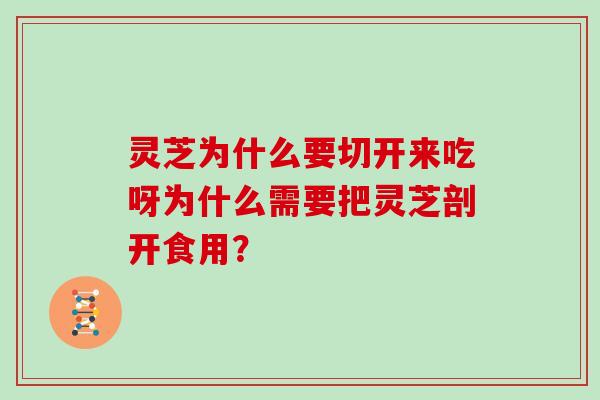 灵芝为什么要切开来吃呀为什么需要把灵芝剖开食用? 灵芝为什么要切开来吃呀为什么需要把灵芝剖开食用?