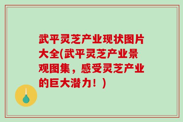 武平灵芝产业现状图片大全(武平灵芝产业景观图集,感受灵芝产业的巨大潜力!) 武平灵芝产业现状图片大全(武平灵芝产业景观图集,感受灵芝产业的巨大潜力!)