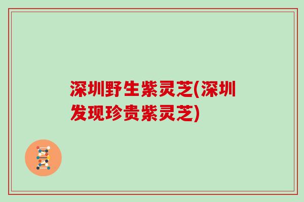 深圳野生紫灵芝(深圳发现珍贵紫灵芝) 深圳野生紫灵芝(深圳发现珍贵紫灵芝)