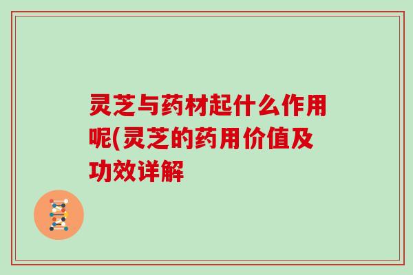 灵芝与药材起什么作用呢(灵芝的药用价值及功效详解