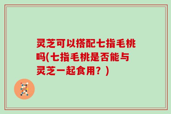 灵芝可以搭配七指毛桃吗(七指毛桃是否能与灵芝一起食用?) 灵芝可以搭配七指毛桃吗(七指毛桃是否能与灵芝一起食用?)