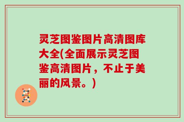 灵芝图鉴图片高清图库大全(全面展示灵芝图鉴高清图片,不止于美丽的风景。) 灵芝图鉴图片高清图库大全(全面展示灵芝图鉴高清图片,不止于美丽的风景。)