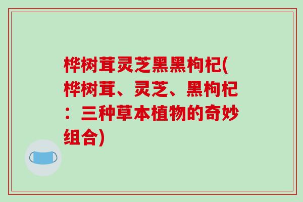桦树茸灵芝黑黑枸杞(桦树茸、灵芝、黑枸杞：三种草本植物的奇妙组合)