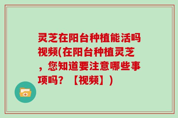 灵芝在阳台种植能活吗视频(在阳台种植灵芝，您知道要注意哪些事项吗？【视频】)