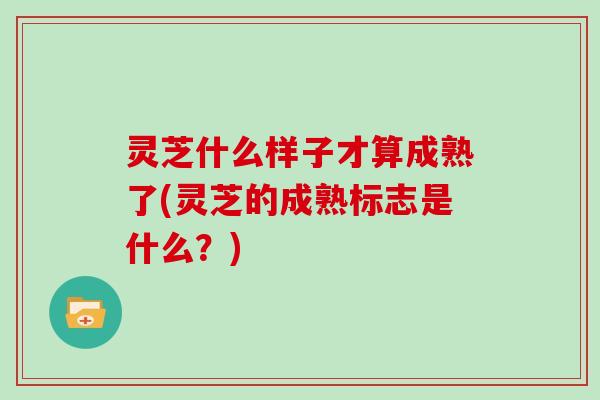 灵芝什么样子才算成熟了(灵芝的成熟标志是什么？)