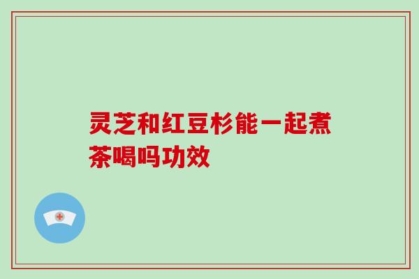 灵芝和红豆杉能一起煮茶喝吗功效 灵芝和红豆杉能一起煮茶喝吗功效