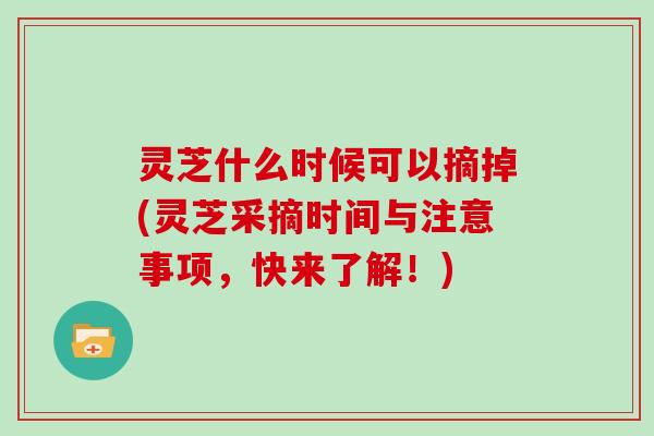 灵芝什么时候可以摘掉(灵芝采摘时间与注意事项，快来了解！)