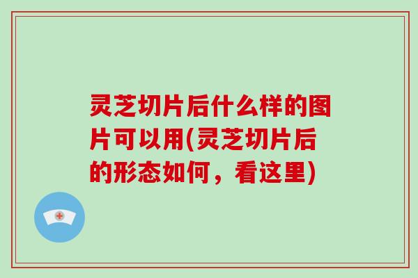 灵芝切片后什么样的图片可以用(灵芝切片后的形态如何,看这里) 灵芝切片后什么样的图片可以用(灵芝切片后的形态如何,看这里)