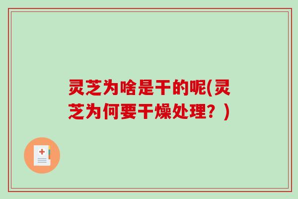 灵芝为啥是干的呢(灵芝为何要干燥处理?) 灵芝为啥是干的呢(灵芝为何要干燥处理?)