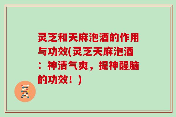 灵芝和天麻泡酒的作用与功效(灵芝天麻泡酒：神清气爽，提神醒脑的功效！)