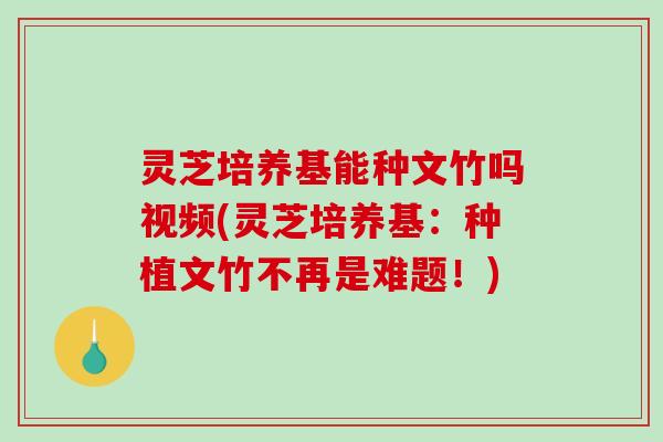灵芝培养基能种文竹吗视频(灵芝培养基:种植文竹不再是难题!) 灵芝培养基能种文竹吗视频(灵芝培养基:种植文竹不再是难题!)