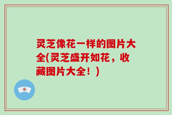 灵芝像花一样的图片大全(灵芝盛开如花，收藏图片大全！)