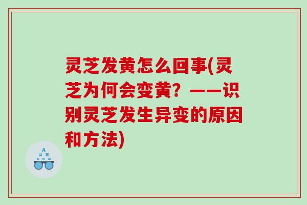 灵芝发黄怎么回事(灵芝为何会变黄？——识别灵芝发生异变的原因和方法)