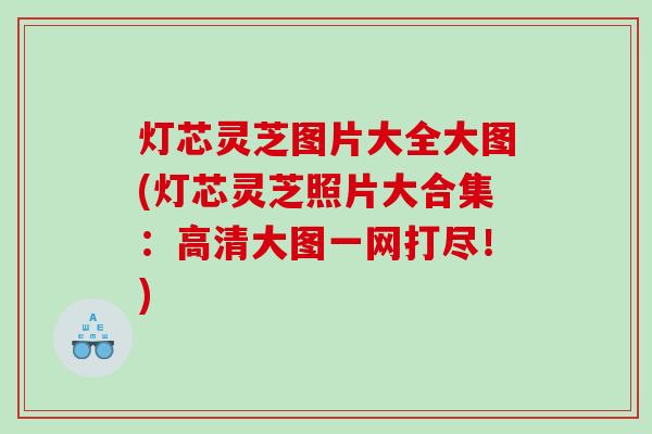 灯芯灵芝图片大全大图(灯芯灵芝照片大合集:高清大图一网打尽!) 灯芯灵芝图片大全大图(灯芯灵芝照片大合集:高清大图一网打尽!)