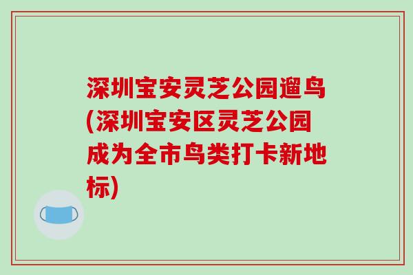 深圳宝安灵芝公园遛鸟(深圳宝安区灵芝公园成为全市鸟类打卡新地标) 深圳宝安灵芝公园遛鸟(深圳宝安区灵芝公园成为全市鸟类打卡新地标)