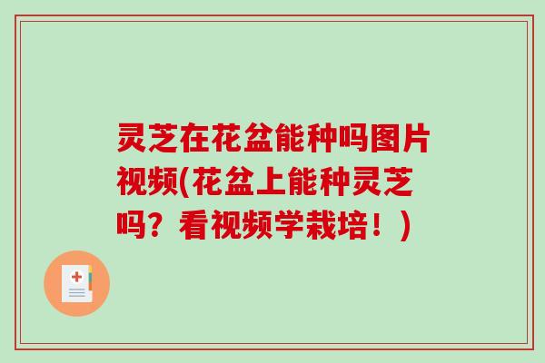 灵芝在花盆能种吗图片视频(花盆上能种灵芝吗？看视频学栽培！)