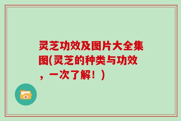 灵芝功效及图片大全集图(灵芝的种类与功效，一次了解！)
