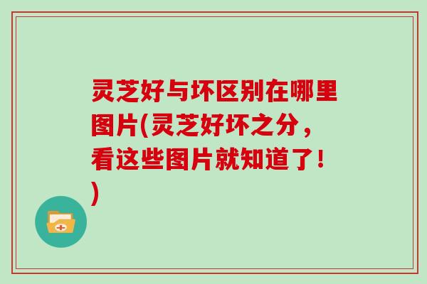 灵芝好与坏区别在哪里图片(灵芝好坏之分,看这些图片就知道了!) 灵芝好与坏区别在哪里图片(灵芝好坏之分,看这些图片就知道了!)