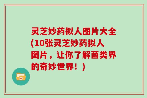 灵芝妙药拟人图片大全(10张灵芝妙药拟人图片，让你了解菌类界的奇妙世界！)