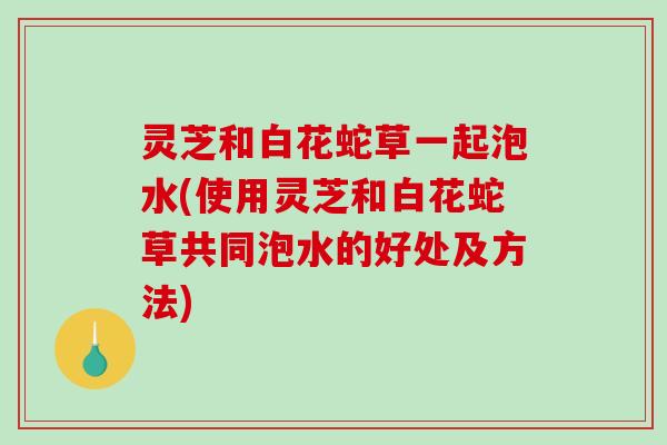 灵芝和白花蛇草一起泡水(使用灵芝和白花蛇草共同泡水的好处及方法)