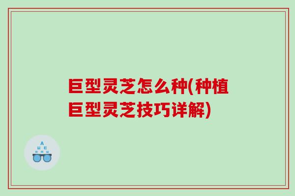 巨型灵芝怎么种(种植巨型灵芝技巧详解) 巨型灵芝怎么种(种植巨型灵芝技巧详解)