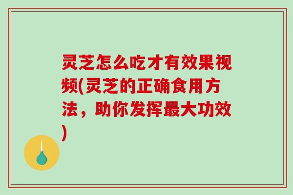 灵芝怎么吃才有效果视频(灵芝的正确食用方法,助你发挥大功效) 灵芝怎么吃才有效果视频(灵芝的正确食用方法,助你发挥大功效)
