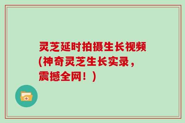 灵芝延时拍摄生长视频(神奇灵芝生长实录,震撼全网!) 灵芝延时拍摄生长视频(神奇灵芝生长实录,震撼全网!)