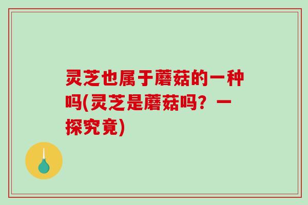 灵芝也属于蘑菇的一种吗(灵芝是蘑菇吗？一探究竟)
