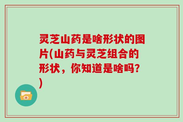 灵芝山药是啥形状的图片(山药与灵芝组合的形状,你知道是啥吗?) 灵芝山药是啥形状的图片(山药与灵芝组合的形状,你知道是啥吗?)