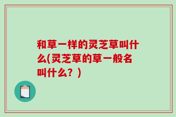 和草一样的灵芝草叫什么(灵芝草的草一般名叫什么?) 和草一样的灵芝草叫什么(灵芝草的草一般名叫什么?)
