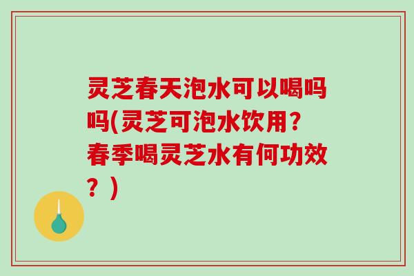 灵芝春天泡水可以喝吗吗(灵芝可泡水饮用？春季喝灵芝水有何功效？)
